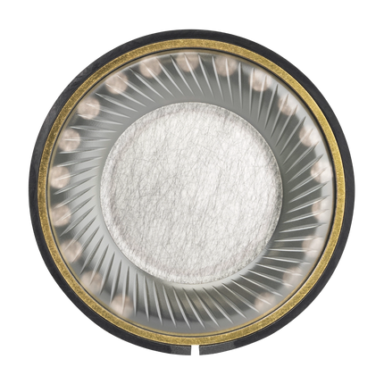 Meze Audio 105 AER - ansamblul driverului de 50 mm