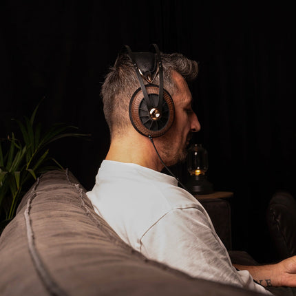 Meze Audio 109 PRO PRIMAL - casca vazuta de sus