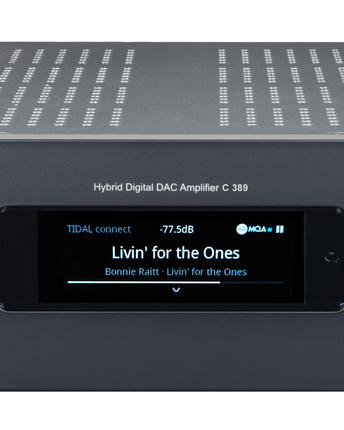 NAD C 389