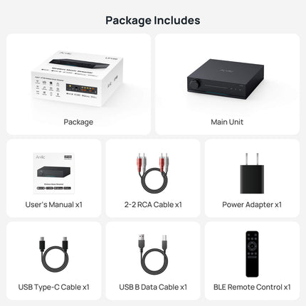 Streamer Arylic LP100