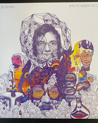 Disc vinil PORTUGAL. THE MAN - IN THE MOUNTAIN IN THE CLOUD