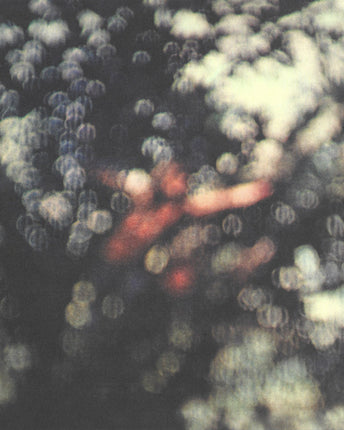Disc vinil PINK FLOYD - OBSCURED BY CLOUDS (180G AUDIOPHILE PRESSING) - LP