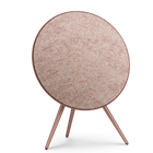 Bang & Olufsen Beosound A9 5th Gen
