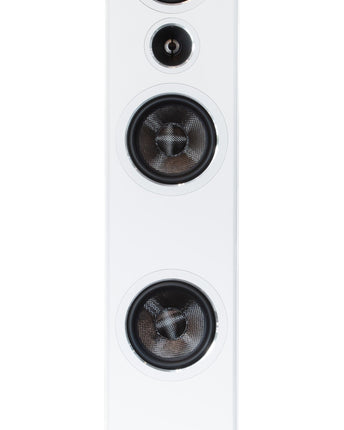 Boxe de podea PSB Imagine T65