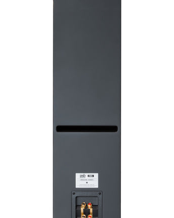 Boxe de podea PSB Imagine T65
