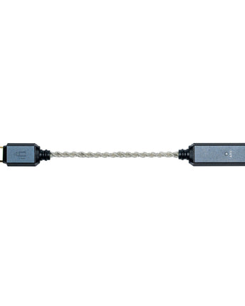 iFi Audio GO link 2