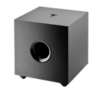 Focal Cub EVO