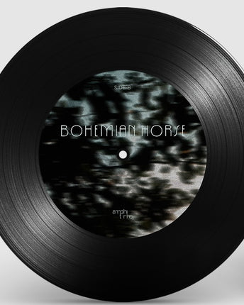 Disc vinil 7" Amphitrio & Blue Noise Live at Alter Acoustic in Viscri