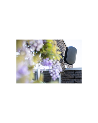 Boxe On Wall ArtSound  ASW800