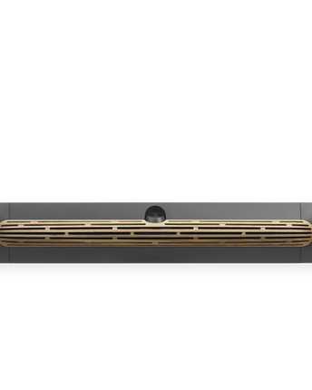 Bang & Olufsen Beosound Premiere