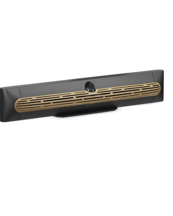 Bang & Olufsen Beosound Premiere
