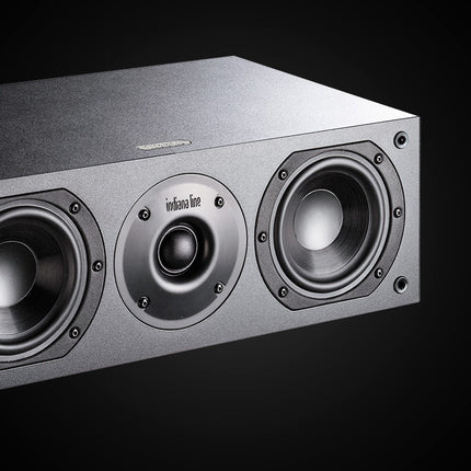 Indiana Line Nota 740 X în finisajul Black Oak: tweeterul și al doilea midwoofer