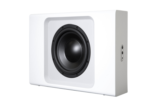 Subwoofer Bluesound PULSE SUB+ resigilat