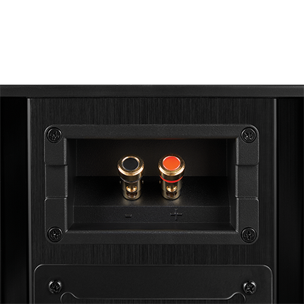 Detaliu al terminalului JBL Synthesis SCL-9XL: o singura pereche de borne placate cu aur