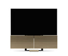 Bang & Olufsen Beovision Harmony 97