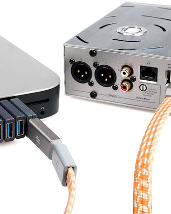 iFi Audio iSilencer 3.0