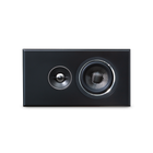 PSB Speakers PWM Sat