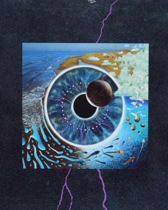 Disc vinil PINK FLOYD - PULSE (180G AUDIOPHILE PRESSING) - LP4
