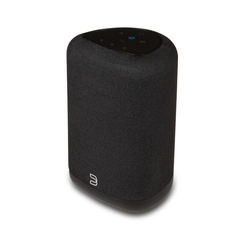 Bluesound PULSE FLEX P130, vedere principală