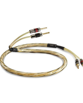 QED Cablu de boxe Golden Anniversary XT