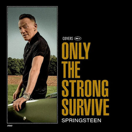 Vinil BRUCE SPRINGSTEEN - ONLY THE STRONG SURVIVE (SONY) - LP2