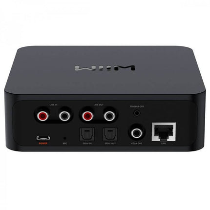 Streamer Wi-Fi WiiM Pro, 24bit /192kHz