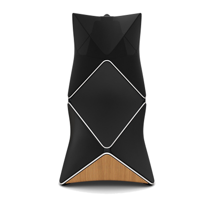 Beolab 90 Black Silver, văzută din spate