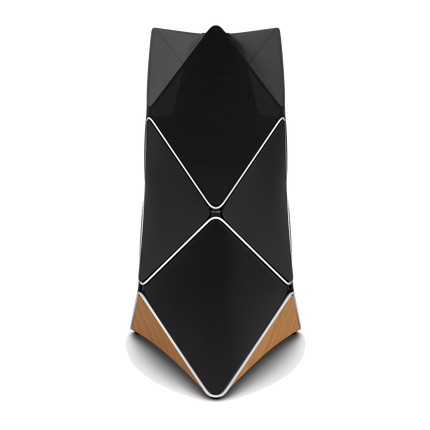 Beolab 90 Black Silver, văzută din față