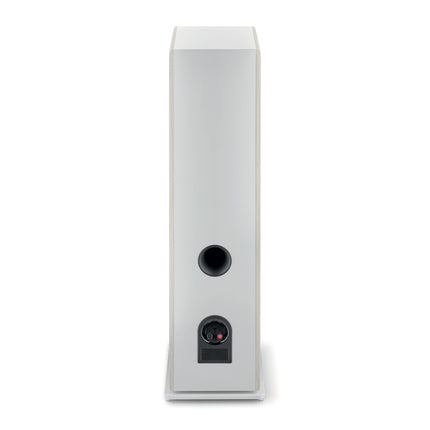 Boxe Focal VESTIA N 4