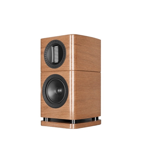 Wharfedale Elysian 1R — finisaj Walnut, fundal transparent
