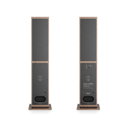 Audio Pro A48 W, finisaj Walnut, panoul din spate