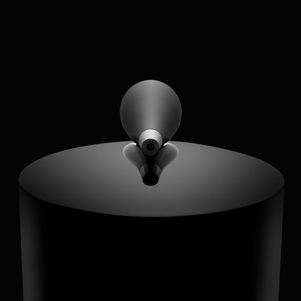 Boxe Bowers & Wilkins 804 D3