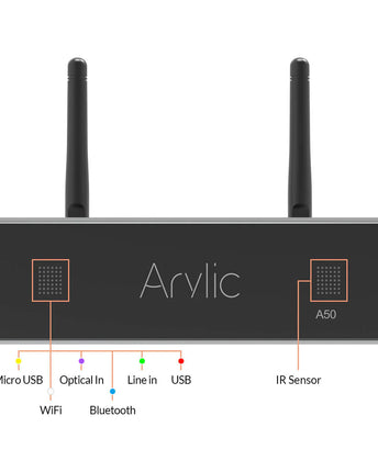 Arylic A50+
