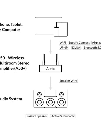 Arylic A50+