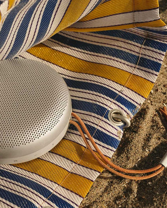 Bang & Olufsen Beosound A1 2nd Gen