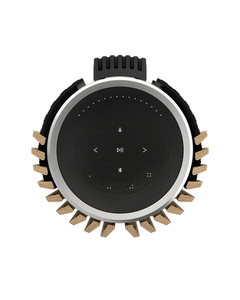 Bang & Olufsen Beolab 28 wall mount