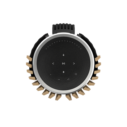 Boxe active Bang & Olufsen Beolab 28, wall mount