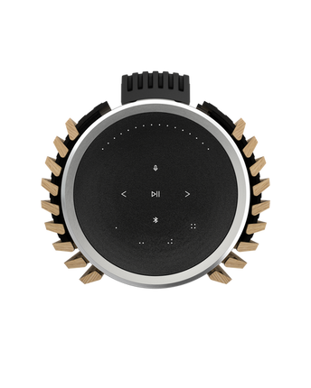 Bang & Olufsen Beolab 28 wall mount