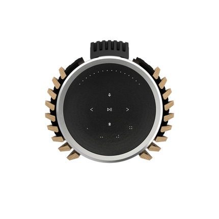 Boxe active Bang & Olufsen Beolab 28, wall mount