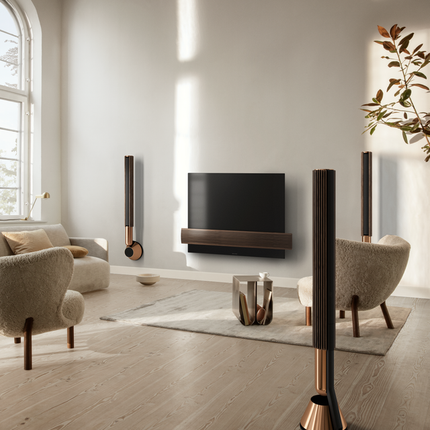 Boxe active Bang & Olufsen Beolab 28, wall mount