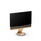 Bang & Olufsen Beovision Theatre 55 inch Motorised Floor Stand