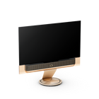 Bang & Olufsen Beovision Theatre 65 inch Motorised Floor Stand