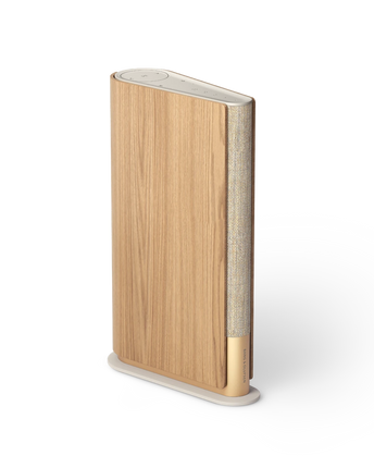 Bang & Olufsen Beosound Emerge