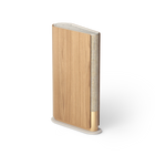 Bang & Olufsen Beosound Emerge