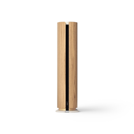 Boxa Bang & Olufsen Beosound Emerge