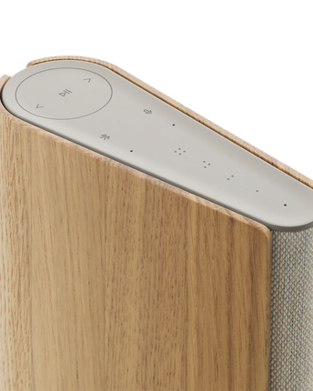 Bang & Olufsen Beosound Emerge
