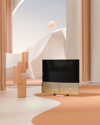 Bang & Olufsen Beovision Harmony 88" floorstand