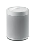 Yamaha WX-021 (MusicCast 20)