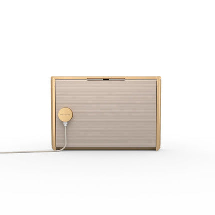 Boxa Bang & Olufsen Beosound Level