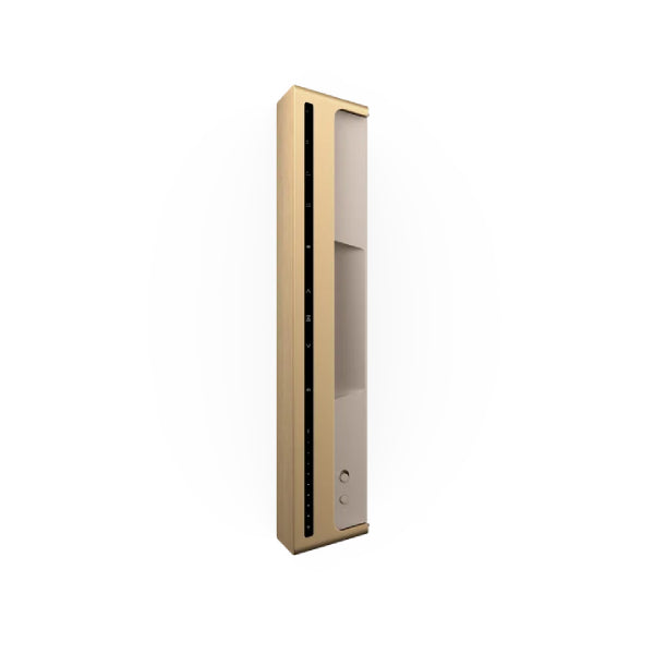 Boxe active Bang&Olufsen Beosound Level